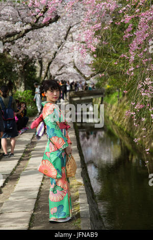 Ragazza giapponese di indossare il kimono durante la fioritura dei ciliegi stagione a Kyoto, Giappone Foto Stock