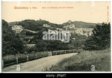 09061-Blankenburg-1907-Blick vom Schloßweg nach dem Großvater-Brück & Sohn Kunstverlag Foto Stock