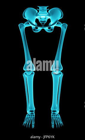 3D illustrazione la radiografia di un bacino umano Foto Stock