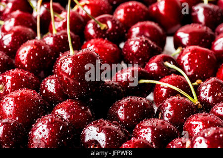 Close up di ciliegie fresche bacche con gocce d'acqua Foto Stock