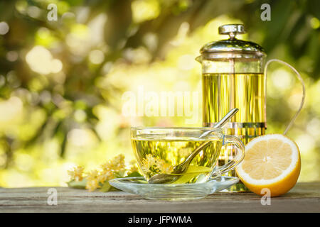 Linden tè, i fiori di tiglio e limone sul tavolo di legno con verdi sfocate sfondo naturale. Teiera in vetro e la tazza di tè alle erbe. Ancora vita sana pro Foto Stock