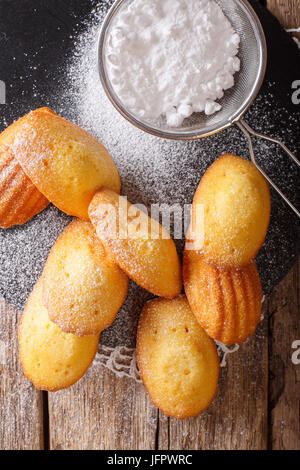 Pane appena sfornato Madeleine cookies spolverati con zucchero in polvere vicino sul tavolo. Vista verticale da sopra Foto Stock