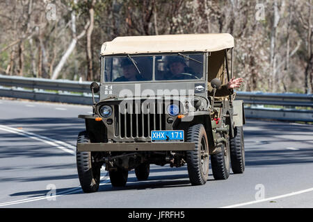 L'annata 1943 Ford Jeep Willys guida su strade di campagna vicino alla città di Birdwood, Sud Australia. Foto Stock