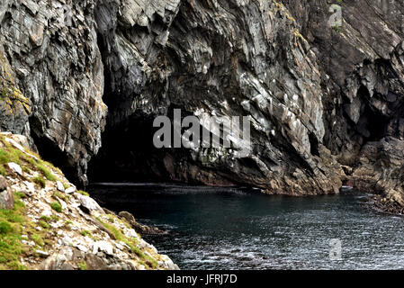 Mizen Head scogliere - contea di Cork - Irlanda Foto Stock