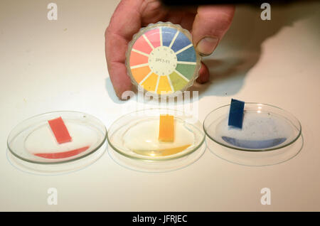 Universal strisce indicatrici di pH sono mostrati in uso su una soluzione alcaline con un pH=14. A sinistra una striscia in una soluzione acida. Foto Stock