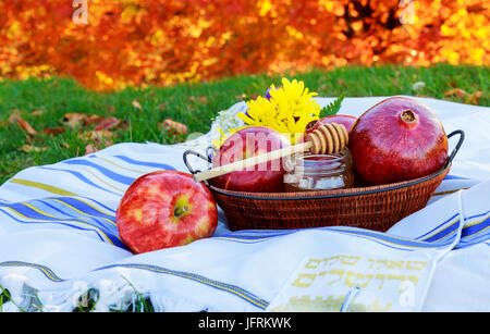 Il miele mele melagrana festività ebraiche del cibo tradizionale ebraica di anno nuovo Foto Stock