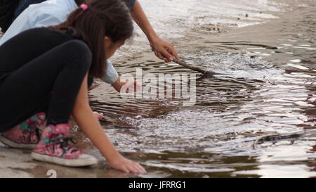 I bambini si giochano sul lago Foto Stock