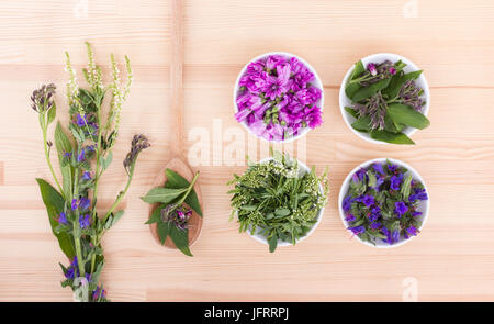 Bocce di fiori diversi Foto Stock