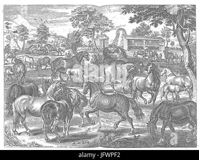 Cavendish - L Arte de dresser les chevaux, 1737-page051 Foto Stock