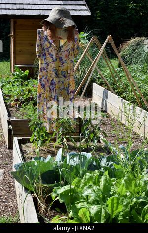 Ben vestite come le donne che cercano lo spaventapasseri nel giardino vegetale Foto Stock