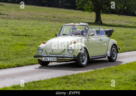 Anni '1975 70 anni '70 VW vecchio stile giallo Volkswagen vecchio tipo Beetle Classic, veicoli storici restaurati da collezione guidati nel parco boschivo, Regno Unito Foto Stock