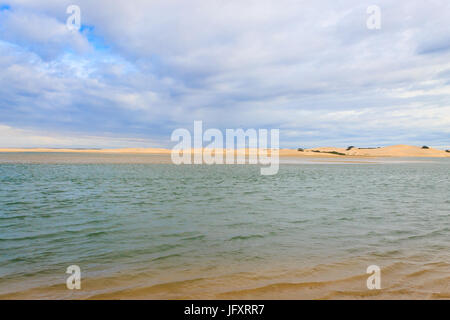 Addo Elephant National Park area marina paesaggio. Le dune di sabbia a coste. Panorama africano, Sud Africa Foto Stock