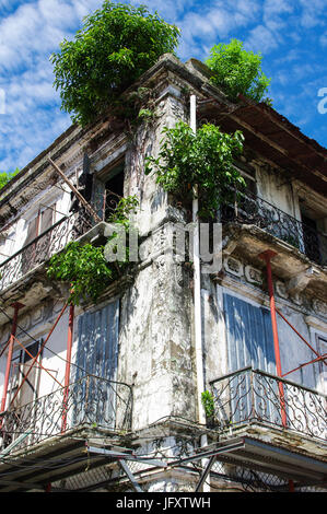 Il marcio vecchia casa coloniale di Panama city con alberi che crescono fuori di windows Foto Stock