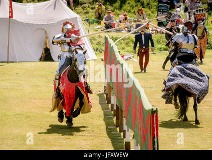 Giostre a Carisbrooke castello sull'Isola di Wight. Patrimonio inglese e la Scienza dello Sport Center presso le Università di Bath ha rivelato che oggi i jouteurs sono in ultima analisi a tutto tondo di atleti, unendo simili livelli di fitness e la forza di un calciatore professionista, un top giocatore di tennis e un pilota di Formula 1. Foto Stock