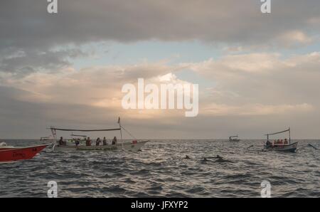 Bali Indonesia free Dolphin boat guardando a Lovina Beach Foto Stock