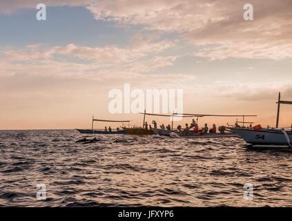 Bali Indonesia free Dolphin boat guardando a Lovina Beach Foto Stock