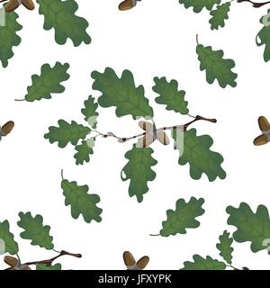 Verde rami di quercia con ghiande e foglie. Senza cuciture. Disegno volumetrico senza una griglia e un gradiente. Isolato su sfondo bianco. illustrazione Illustrazione Vettoriale