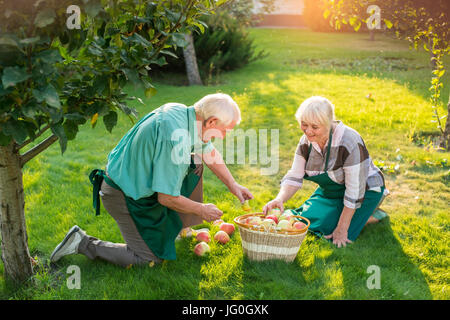 Giardinieri Senior giovane vicino ad albero. Foto Stock