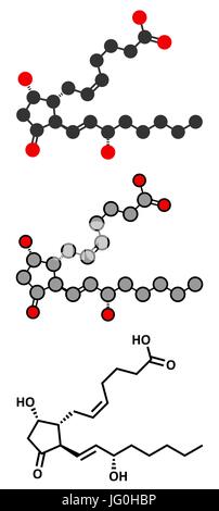 La prostaglandina D2 (PGD2 molecola). Tradizionale formula scheletrico e stilizzate rappresentazioni. Illustrazione Vettoriale