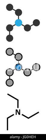 La trietilammina base organica molecola. Tradizionale formula scheletrico e stilizzate rappresentazioni. Illustrazione Vettoriale
