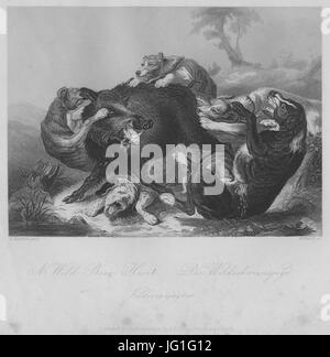 Gemäldegalerie Alte Meister (Dresda) Galeriewerk Payne 1 Foto Stock