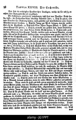 De Augen Gemüths (Ledermüller) 085 Foto Stock