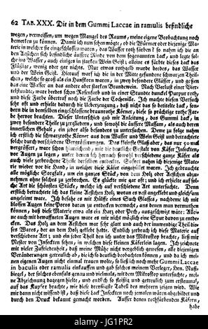 De Augen Gemüths (Ledermüller) 091 Foto Stock