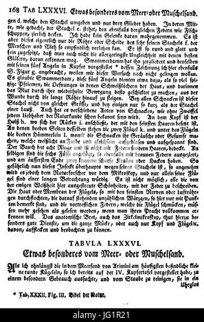 De Augen Gemüths (Ledermüller) 250 Foto Stock