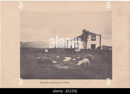 IndäBAstria de Lacticios da Ilha Terceira, 2, Arquivo de Villa Maria, Angra do HeroäADsmo, Ilha Terceira, AäA7minerali Foto Stock