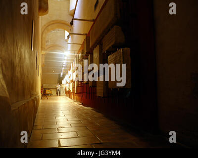 Musée Augustins - Salles des écritures - 1 Foto Stock