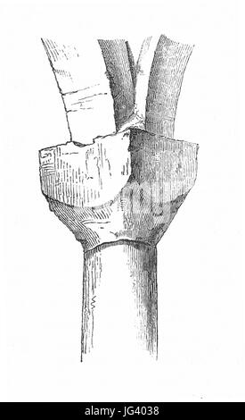 MZK 001 Nr 10 Charakteristik der Baudenkmale Böhmens - Fig. 08 Wenzelskirche Altbunzlau - Säule Unterkirche Foto Stock