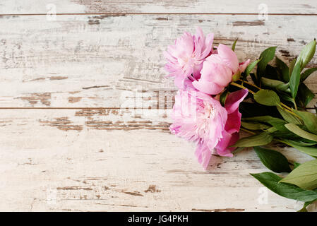 Splendide peonie rosa sulla luce bianca in legno rustico sfondo. Spazio di copia, cornice floreale. Vintage, haze cercando. Nozze, carta regalo, il giorno di san valentino o Foto Stock