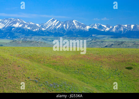 Crazy montagne sopra prairie sulle colline vicino a big timber, montana Foto Stock