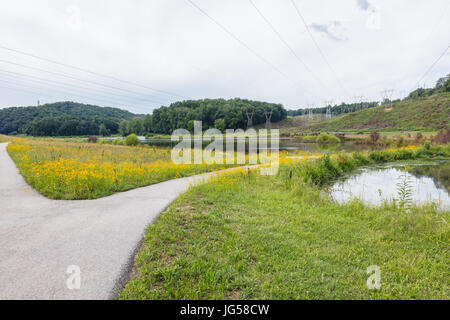 Greenway a Gupton zone umide, Swan Pond Area ricreativa, Harriman, TN Foto Stock