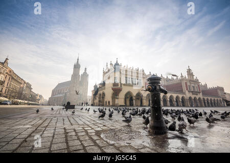 Bella la piazza del mercato con gli uccelli, Cracovia, in Polonia, in Europa Foto Stock