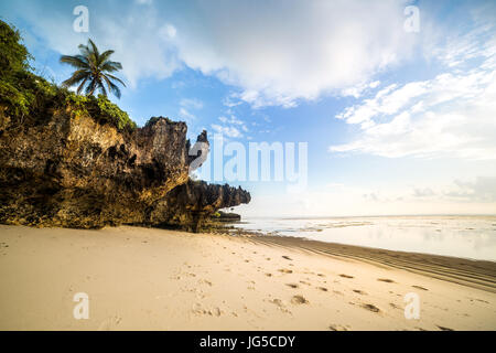 Paradise beach con sabbia bianca e palme, Kenya Foto Stock