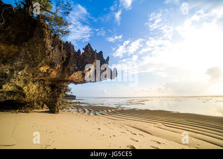 Paradise beach con sabbia bianca e palme, Kenya Foto Stock