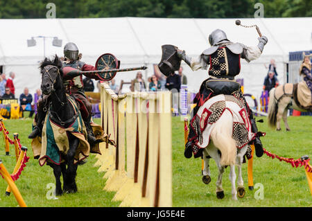 Due cavalieri alla giostra a cavallo, uno armato con una lancia, l'altra con una sfera e una catena. Foto Stock