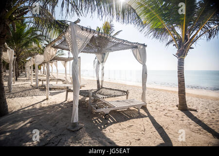 Tettoia sulla spiaggia tra palme da oceano indiano, Kenya Foto Stock