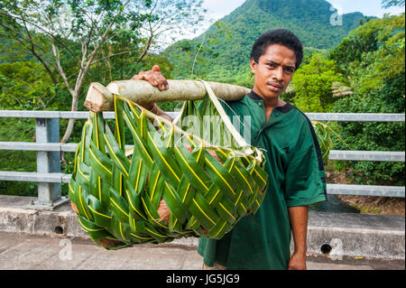 Allevatore locale portando i suoi beni in palm ceste indietro home, Upolo, Samoa, Sud Pacifico Foto Stock