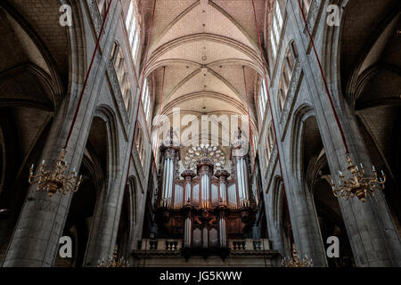 Interni e organo del il preservativo medievale cattedrale, costruita nel 1506-31. preservativo, Francia. Foto Stock