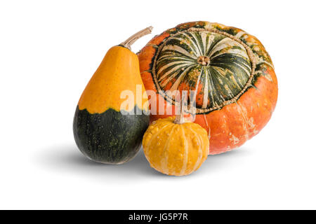 Una varietà di zucca e calabash frutti isolati su uno sfondo bianco. Foto Stock