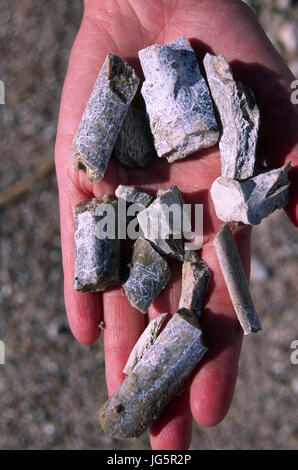 Combustibili a Carnegie Hill, Agate Fossil Beds National Monument, Nebraska Foto Stock