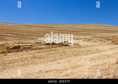 Balle di fieno, haystacks, balla, in un campo dopo il raccolto, vicino a Ronda. Andalusia, Spagna. Foto Stock