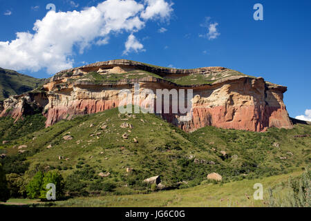 Affioramento di arenaria Golden Gate National Park Libero Stato del Sud Africa Foto Stock