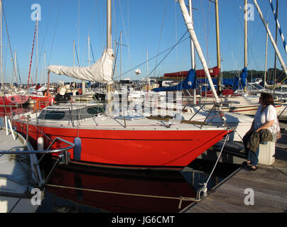 Binic porto vicino a SAINT-BRIEUC, cotes-d'armor, Bretagne, Bretagna, Francia, Europa Foto Stock