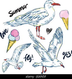 Uccelli marini. Serie di bellissimi gabbiani e gelato Illustrazione Vettoriale