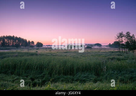 Mattina in campagna. Nebbia di mattina su campo Foto Stock