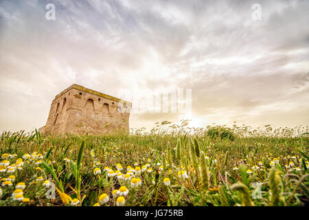 Torre Guaceto Area Marina Protetta, Puglia, Italia Foto Stock