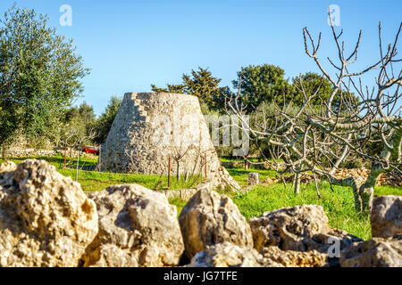 Vecchio trulli e campo ripostiglio in Puglia, Sud Italia Foto Stock